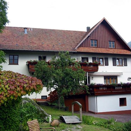 Schnurrenhof Apartment Seebach Luaran gambar