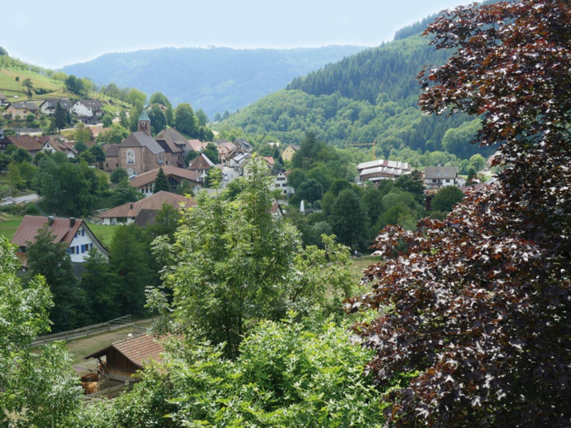 Schnurrenhof Apartment Seebach Luaran gambar