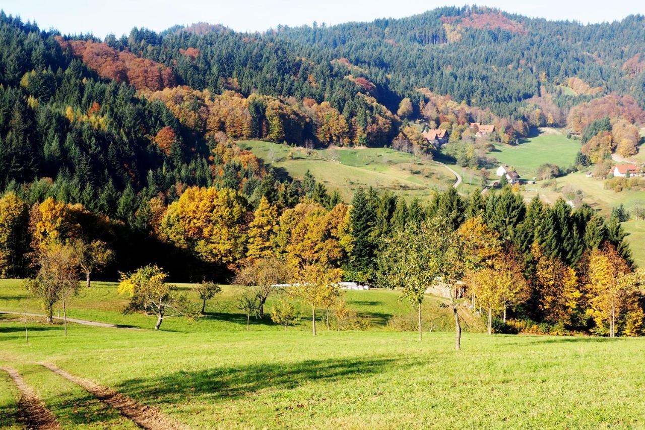 Schnurrenhof Apartment Seebach Luaran gambar