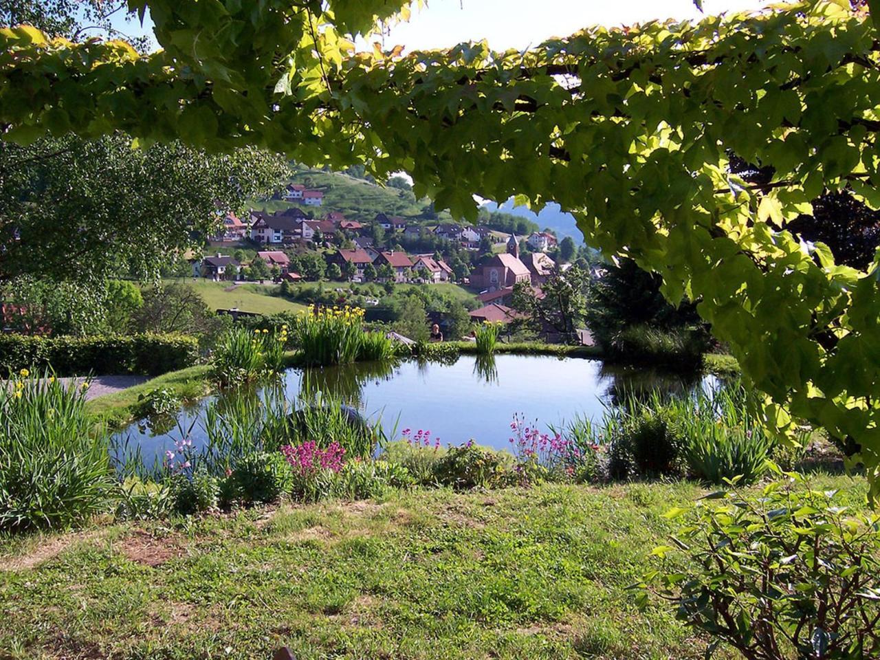 Schnurrenhof Apartment Seebach Luaran gambar