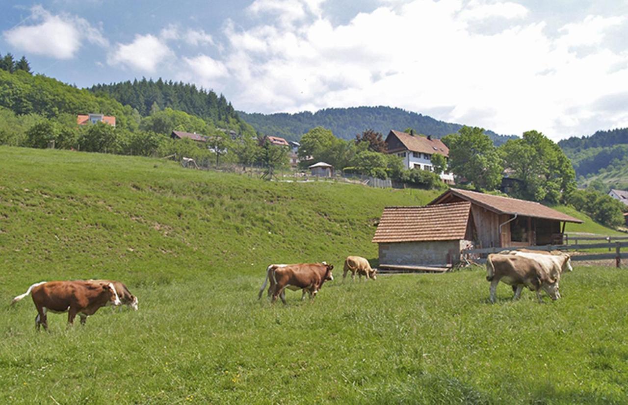Schnurrenhof Apartment Seebach Luaran gambar