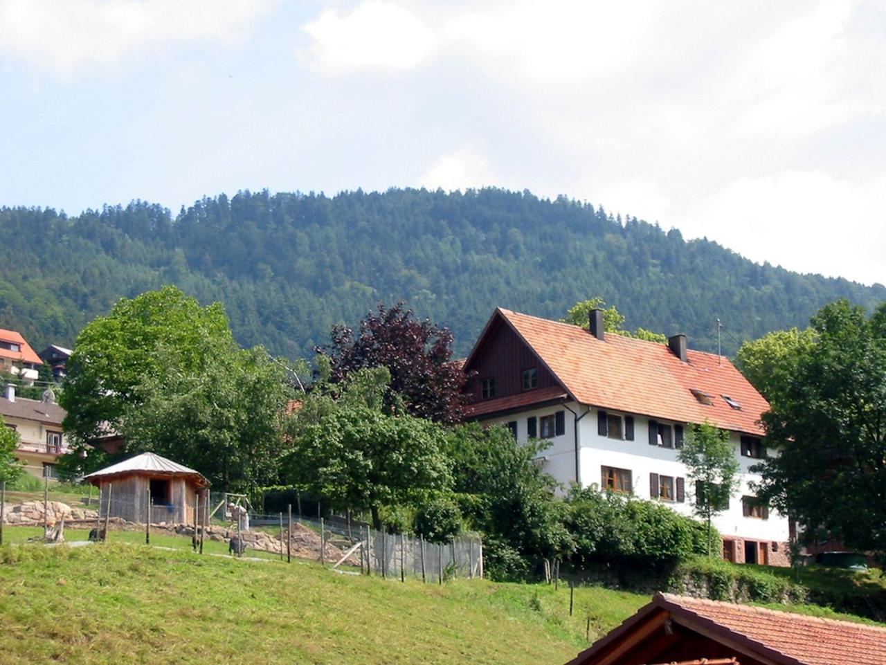 Schnurrenhof Apartment Seebach Luaran gambar