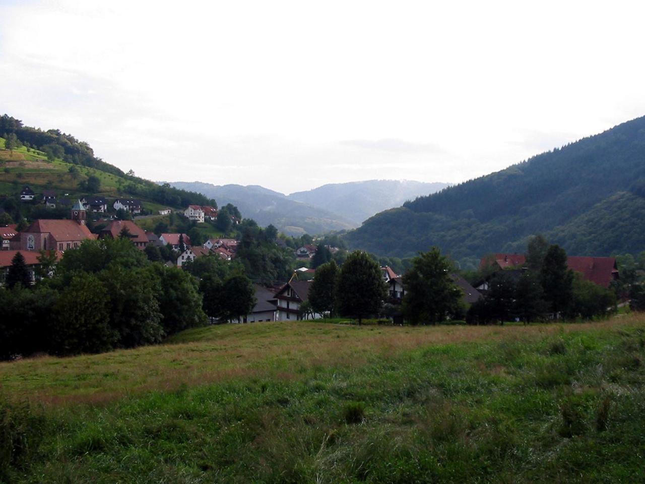Schnurrenhof Apartment Seebach Luaran gambar